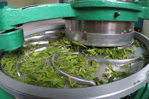 Tea Rolling Heslaa